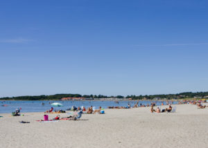 apelviken